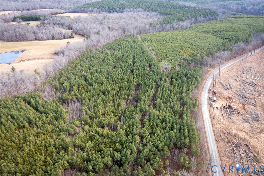7540 Meherrin Road Farmville, VA 23901 - Photo 10 of 15 View of property location featuring a heavily wood