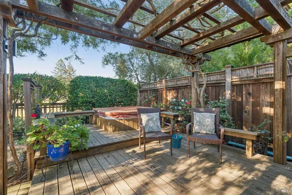 a view of a garden with plants