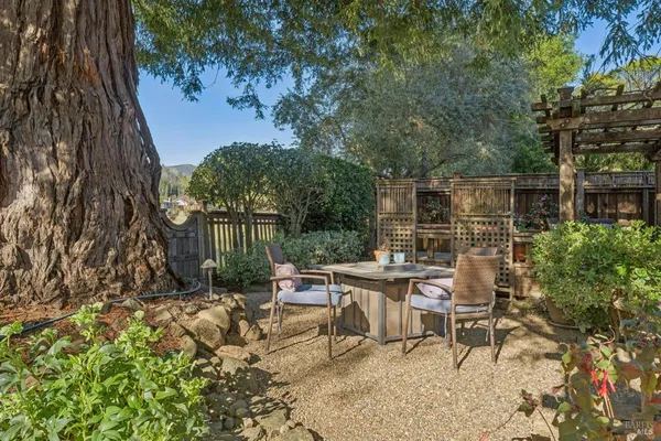 a view of backyard with a table and chairs and a large tree