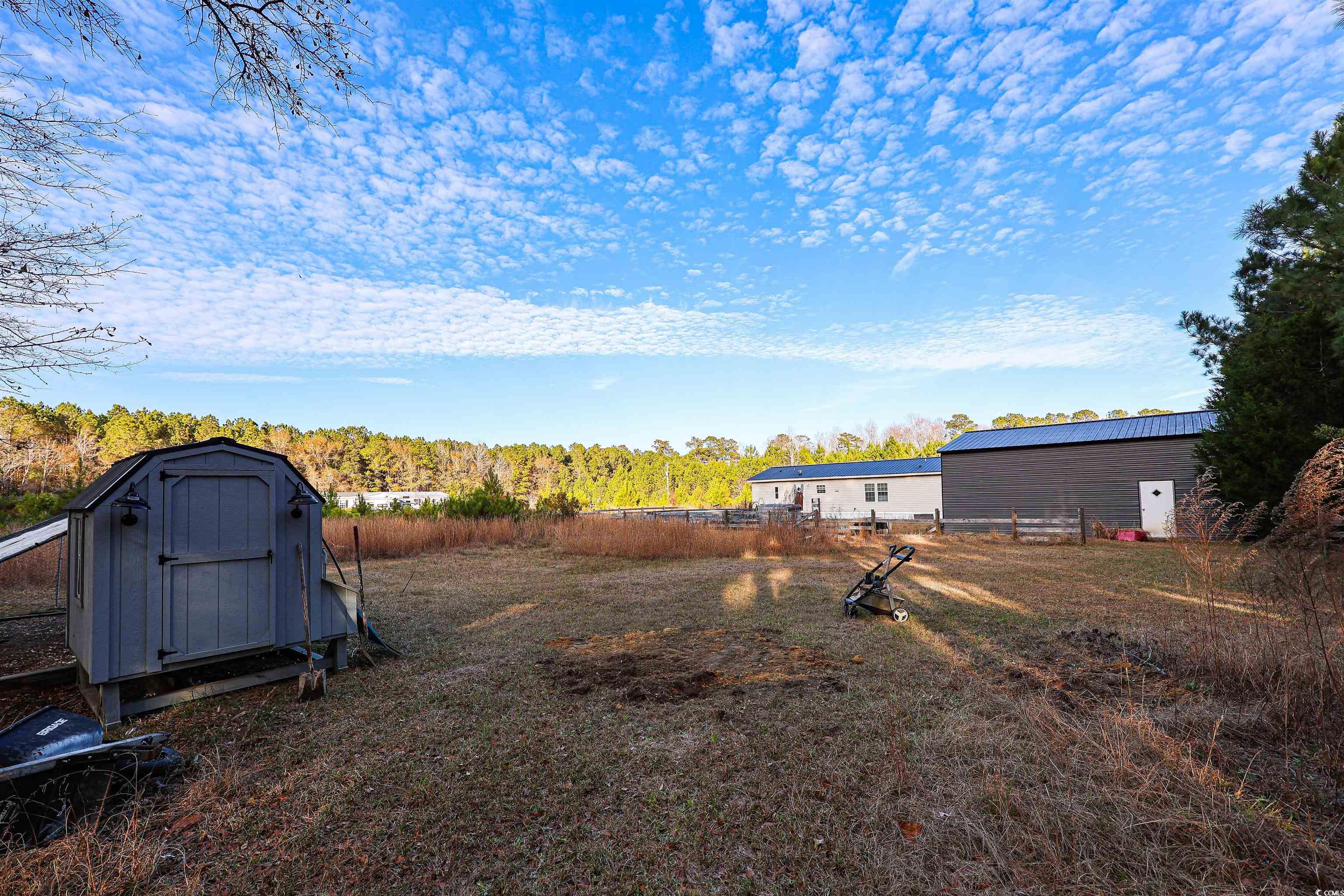 2128 Harvey Road Loris, SC 29569 - Photo 24 of 31 View of yard featuring a storage shed and a forest view