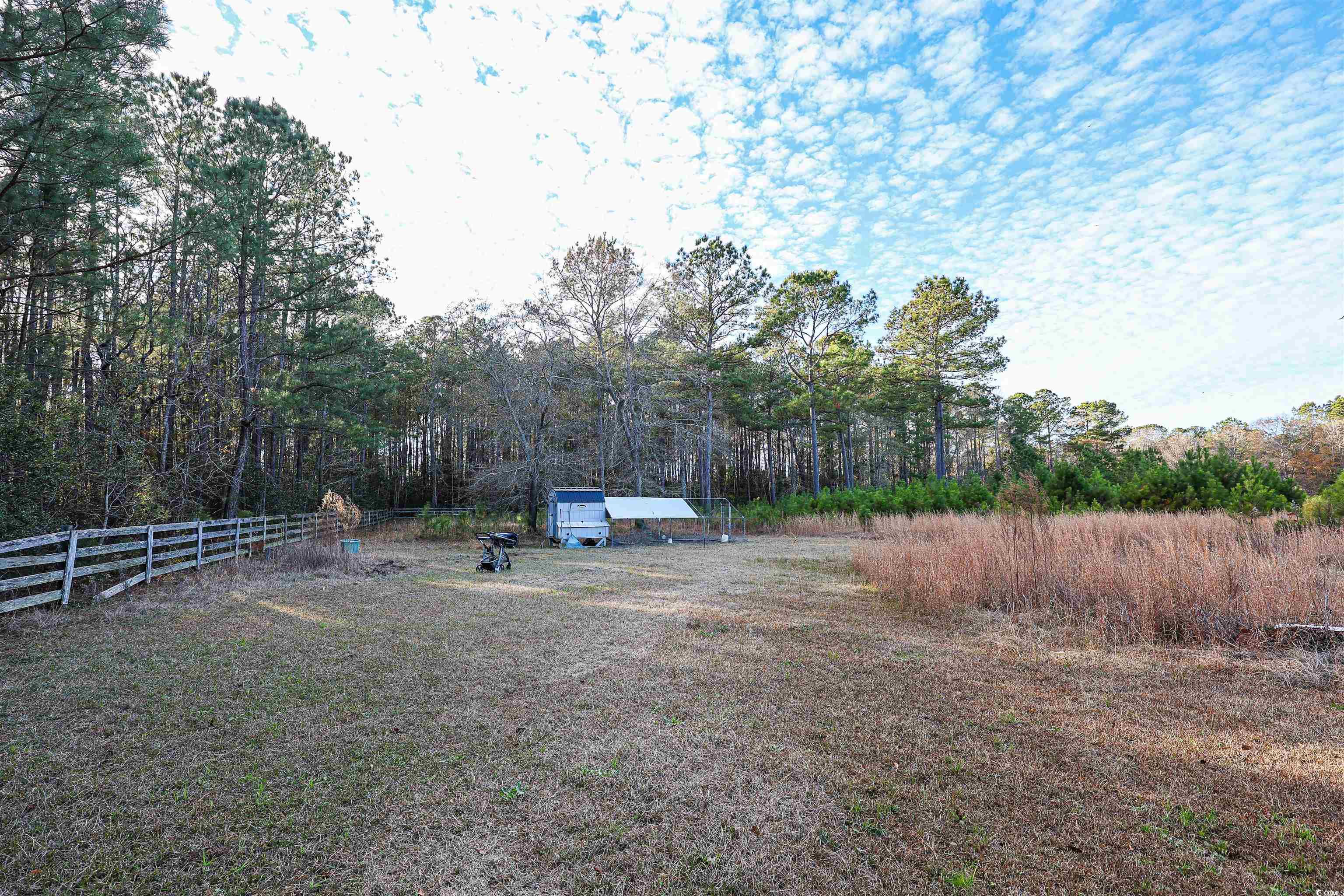 2128 Harvey Road Loris, SC 29569 - Photo 25 of 31 View of yard with a view of trees