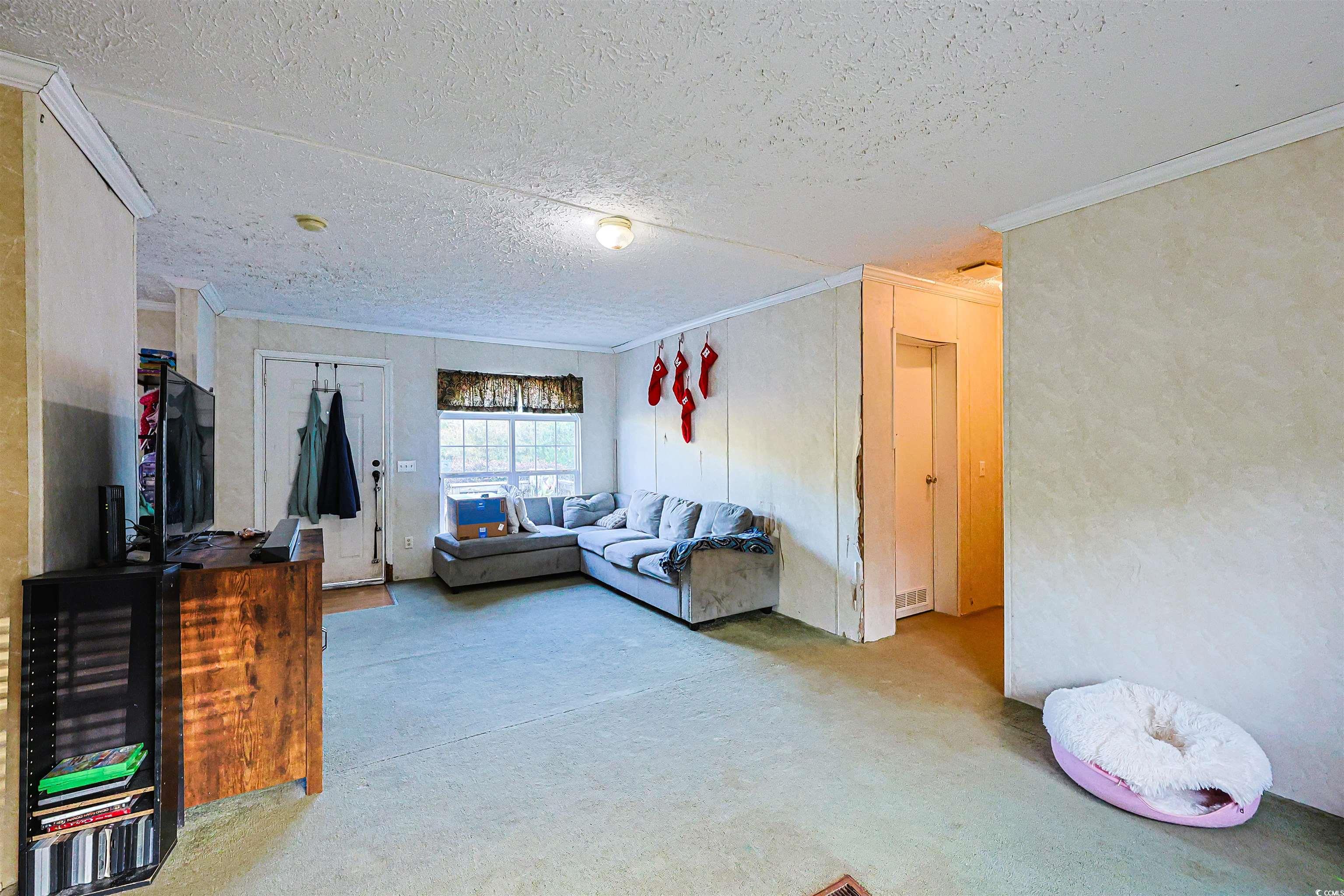 2128 Harvey Road Loris, SC 29569 - Photo 4 of 31 Living area with crown molding, a textured ceiling, and carpet flooring
