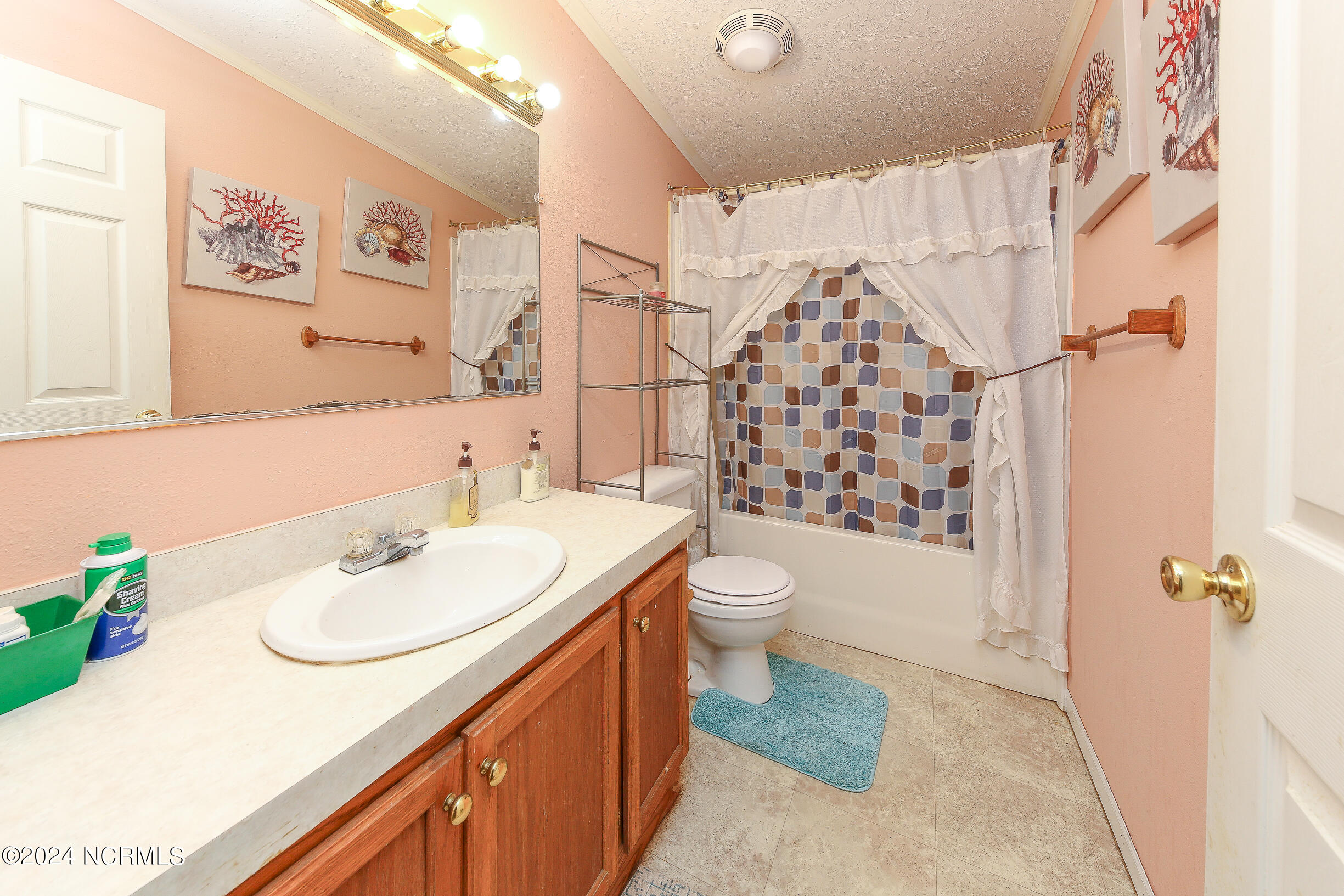 225 North Gregory Road Shawboro, NC 27973 - Photo 11 of 44 4G8A8152