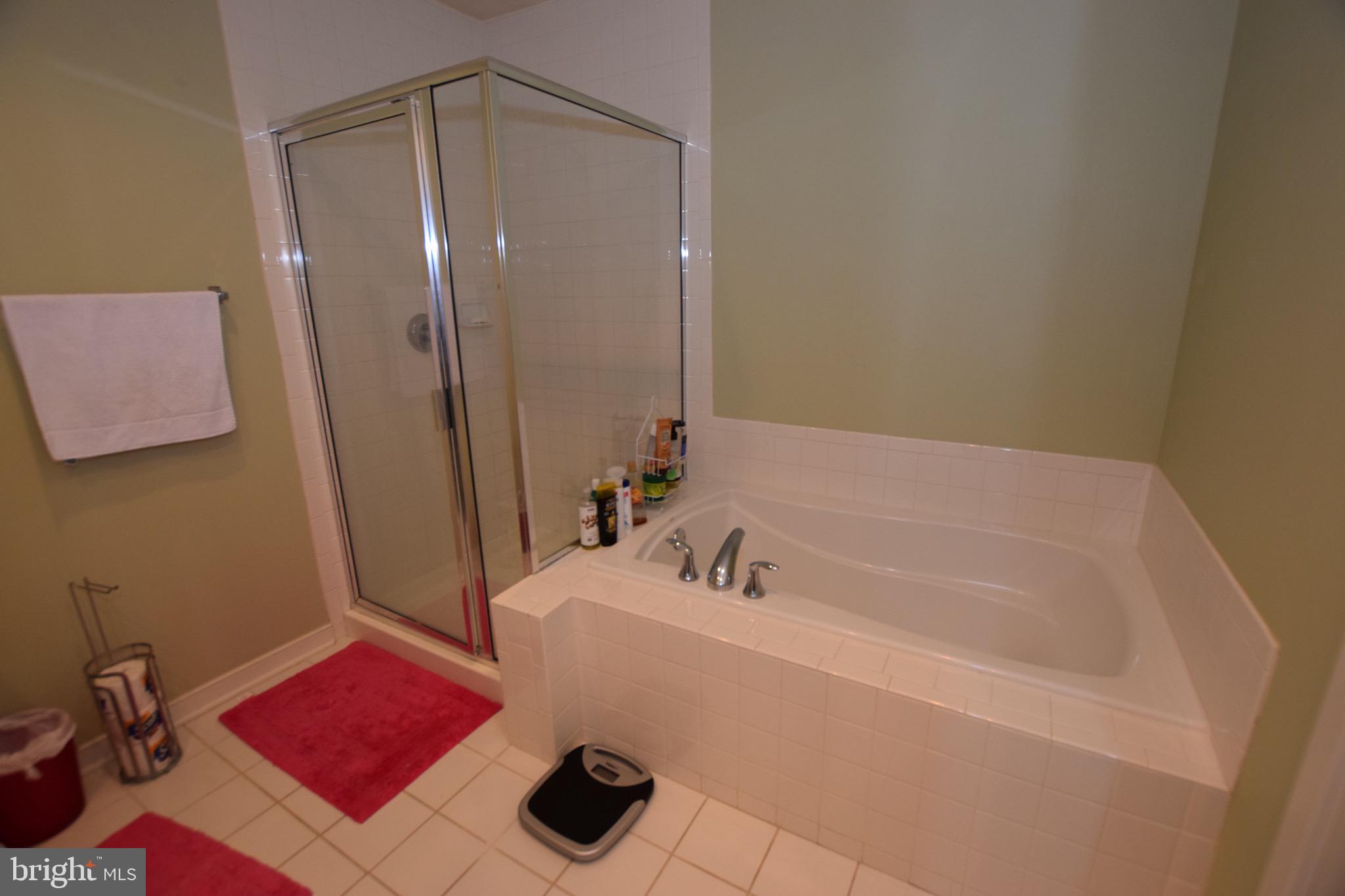 11022 Amherst Avenue Silver Spring, MD 20902 - Photo 19 of 32 Master bath