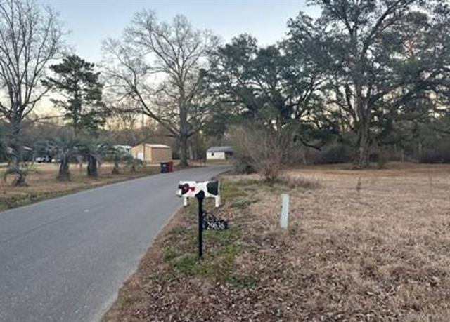 29636 Wagner Road Albany, LA 70711 - Photo 6 of 6