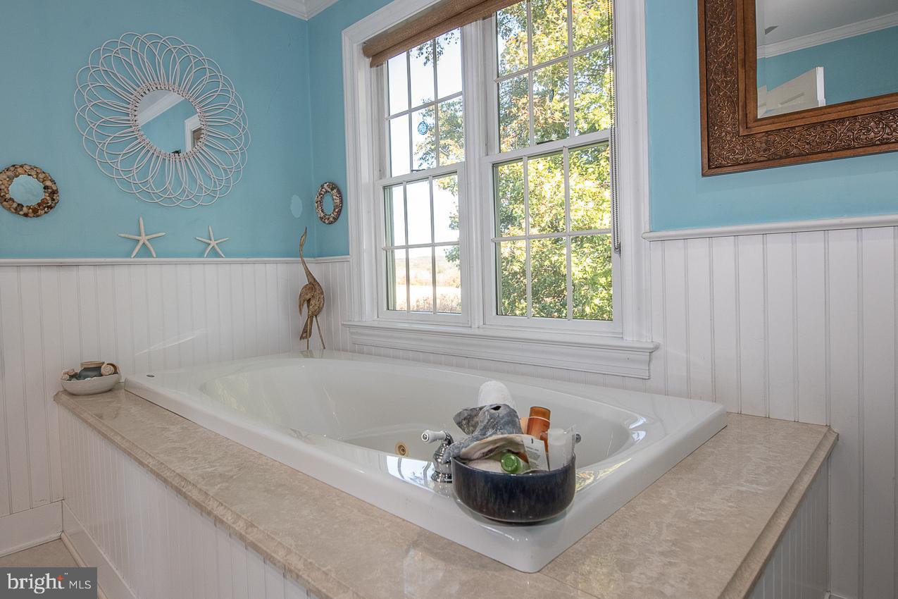 155 Lafayette Road Coatesville, PA 19320 - Photo 36 of 68 Jetted soaking tub over looking rear yard
