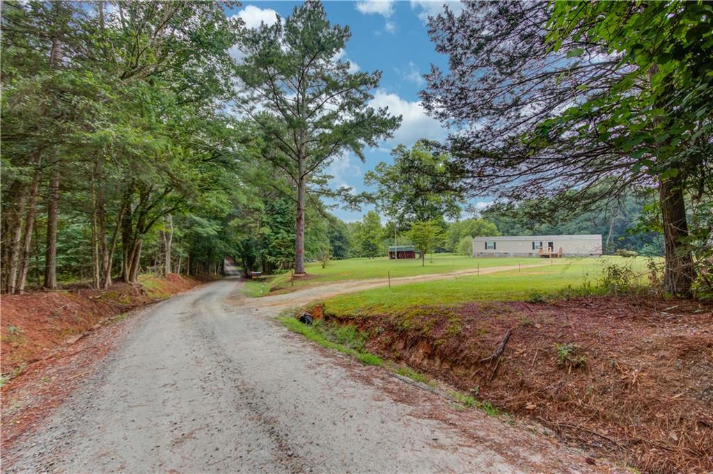 492 Gum Log Creek Road Martin, GA 30557 - Photo 3 of 48