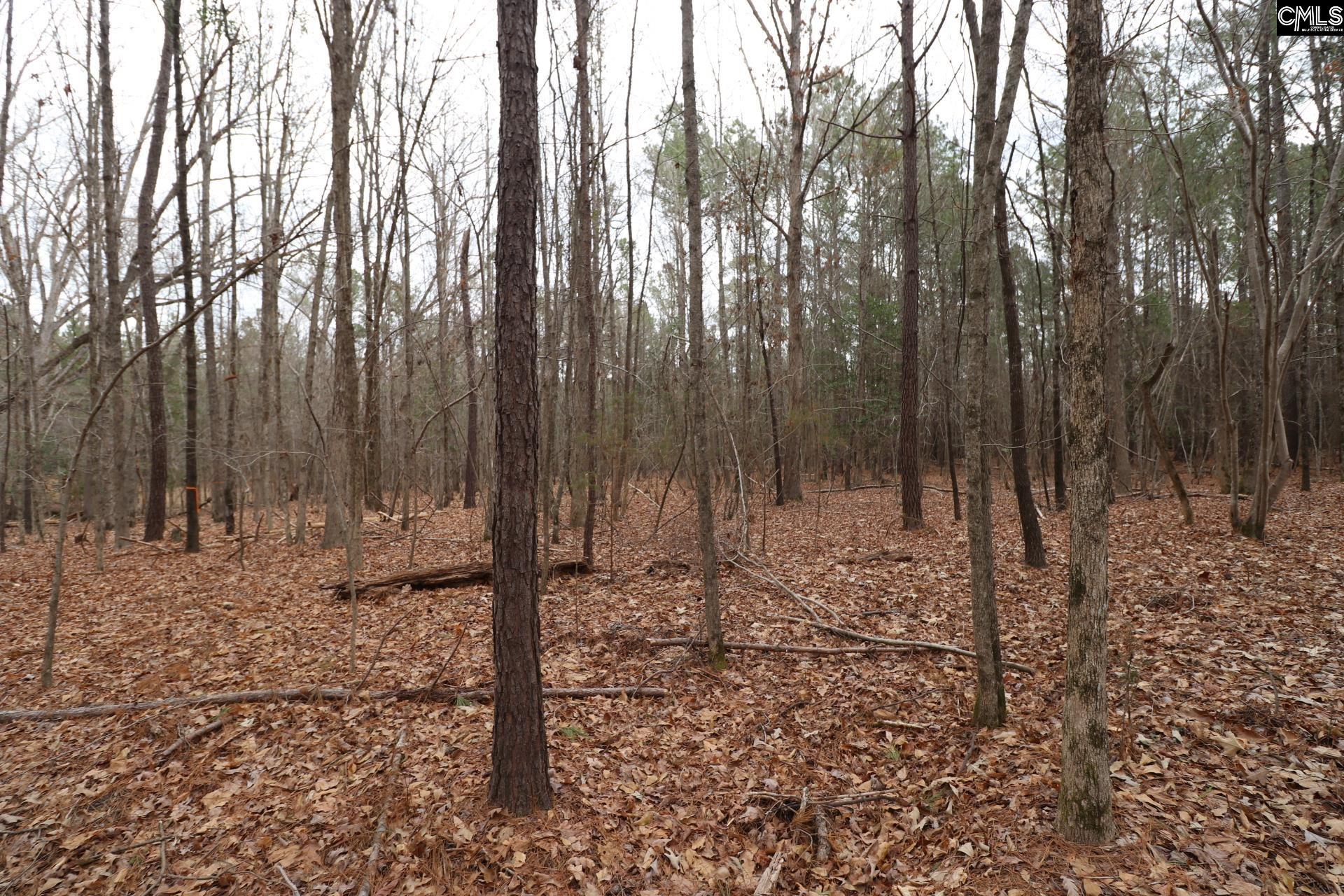 Lot 229 Granny Hill Road Prosperity, SC 29127 - Photo 53 of 61