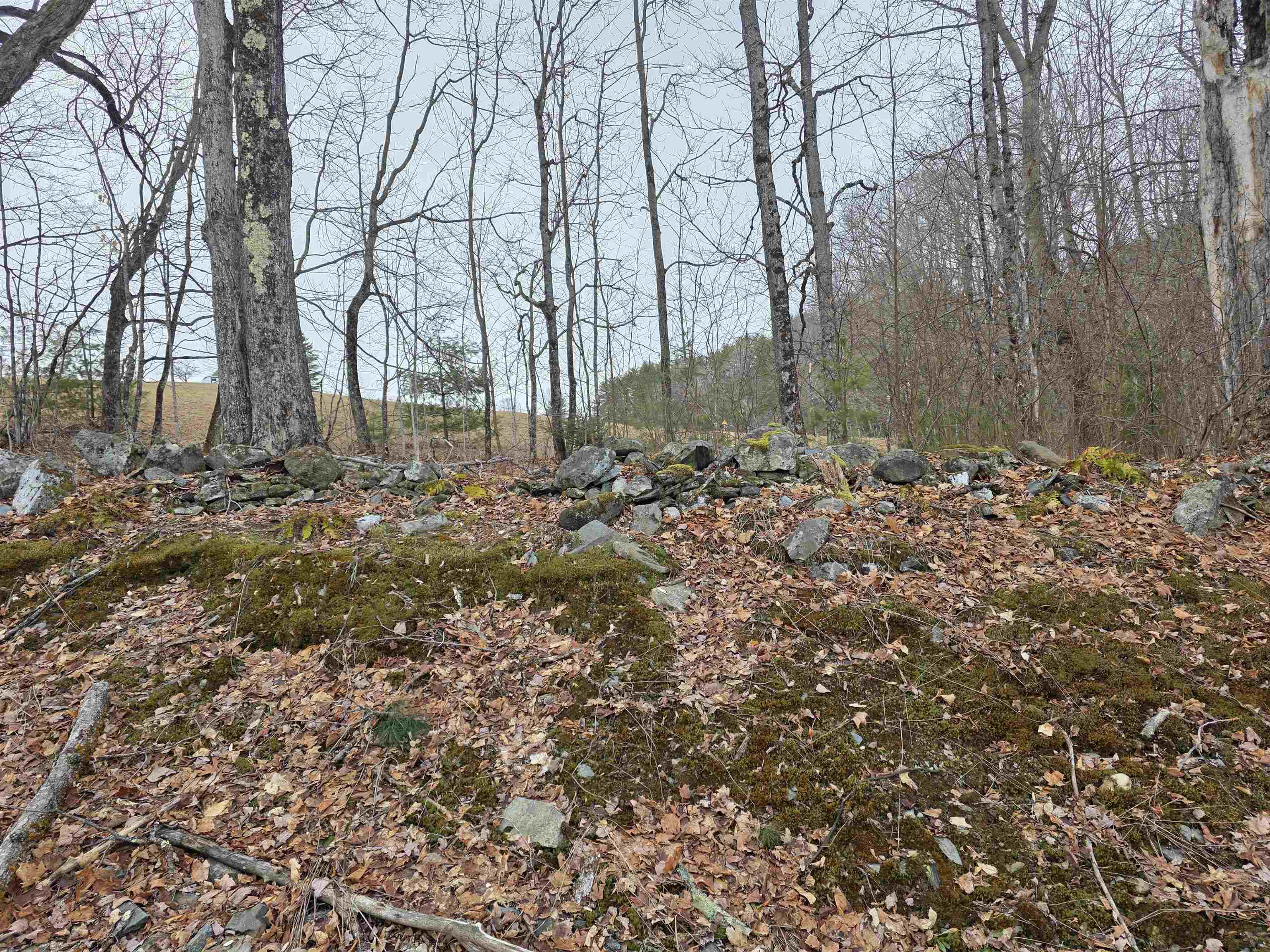 1095 Slate Ledge Road Waterford, VT 05819 - Photo 5 of 24