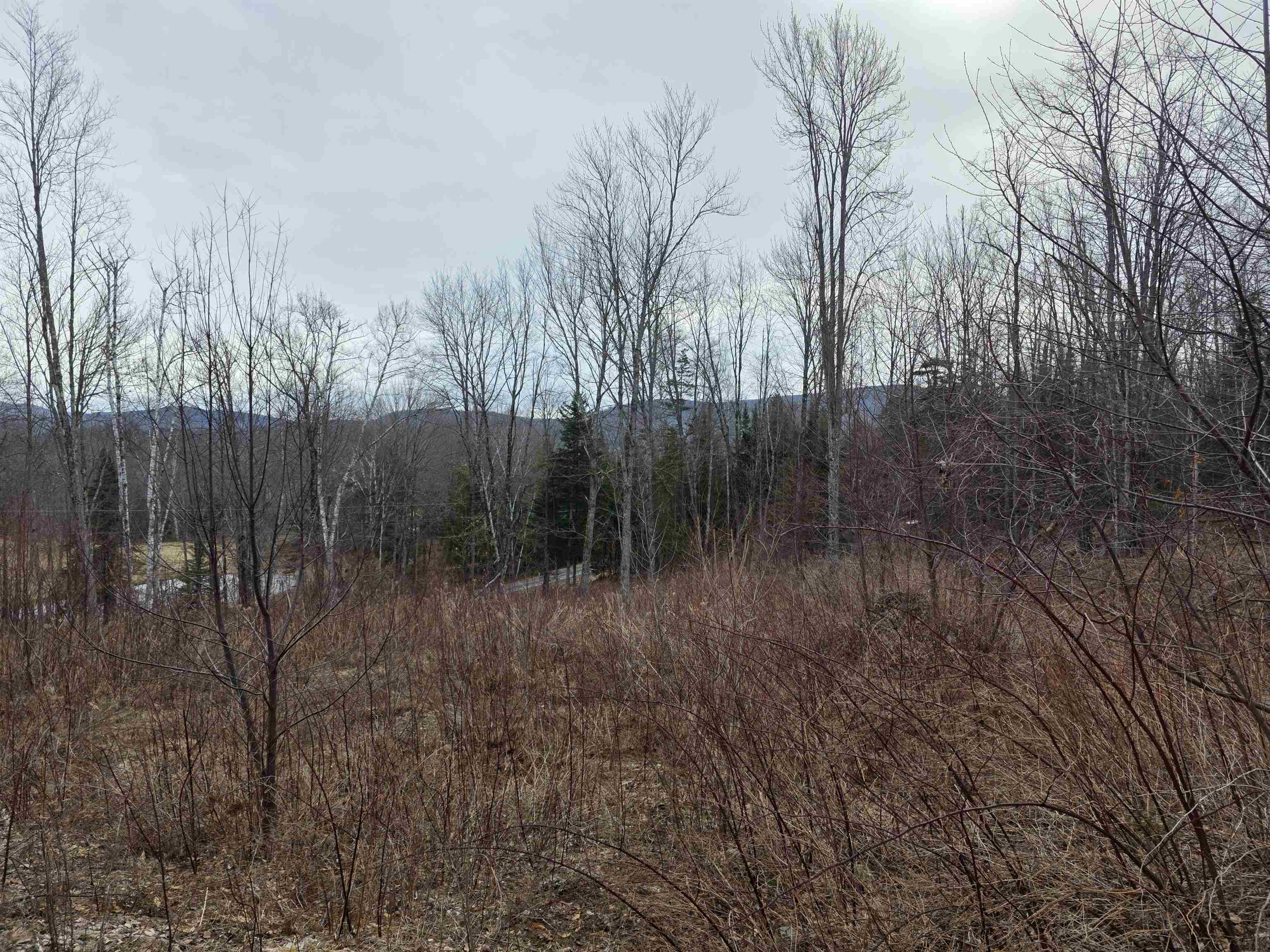 1095 Slate Ledge Road Waterford, VT 05819 - Photo 9 of 24