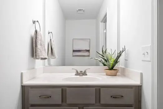 940 Britton Springs Road, Unit 604 Clarksville, TN 37042 - Photo 19 of 30 a bathroom with a sink and a mirror