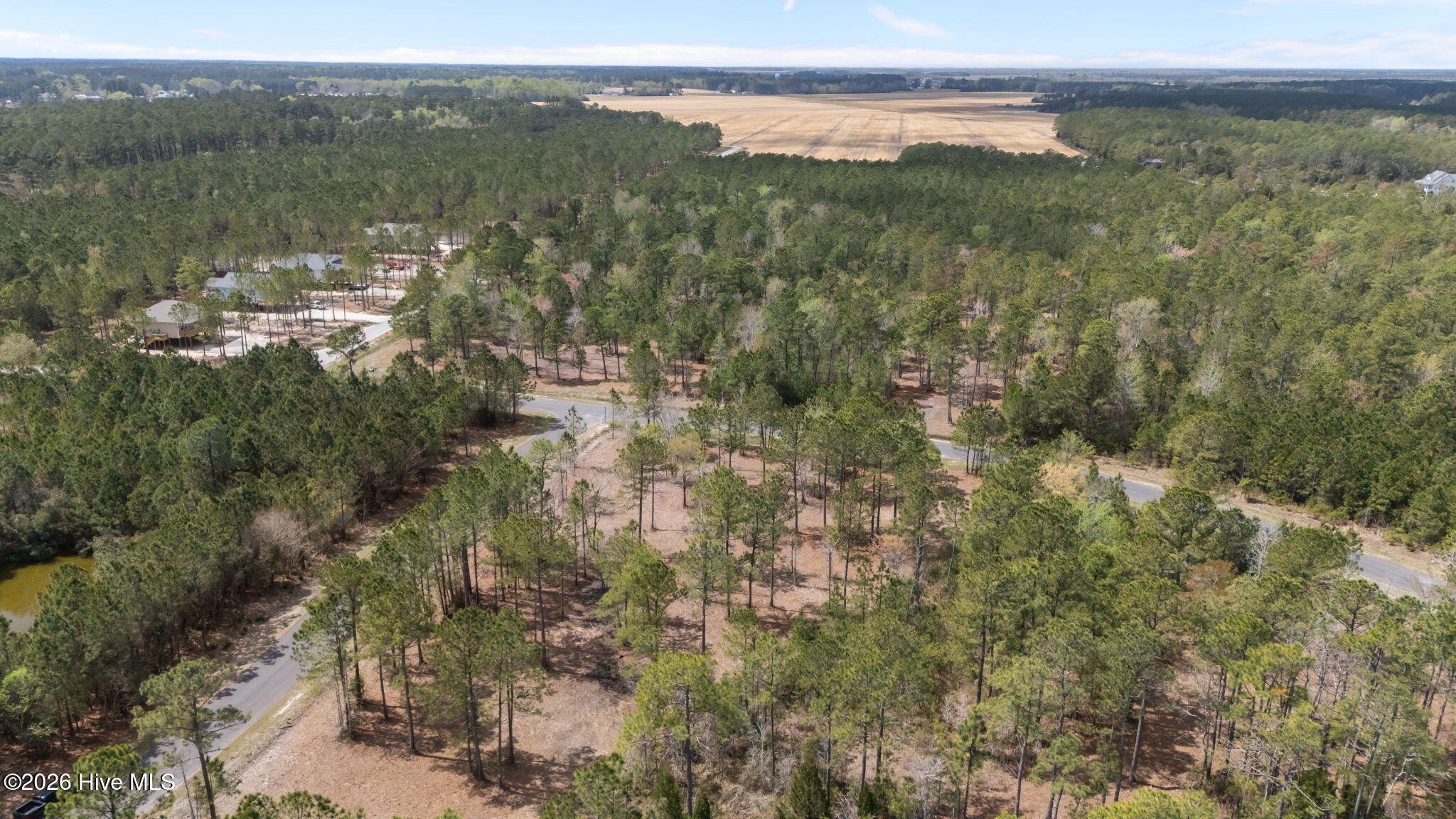 56 Shell Castle Lane Vandemere, NC 28587 - Photo 4 of 15 15-web-or-mls-DJI_20260331124556_0190_D