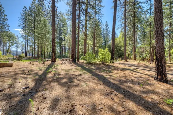 a view of outdoor space with trees