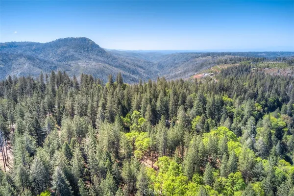 a view of a lush green field