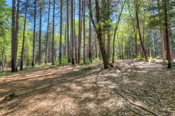 a view of outdoor space with deck and tree