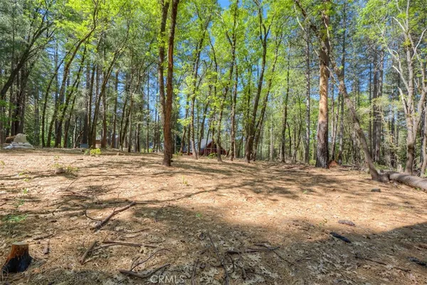 a view of space with trees