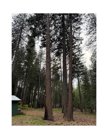 a view of a tiny house