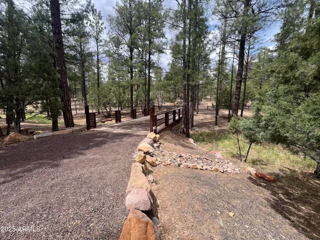 a view of a park with large trees