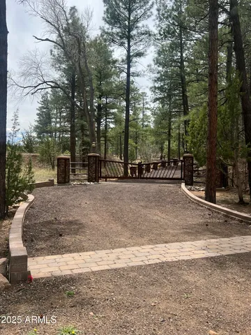 a street view with large trees