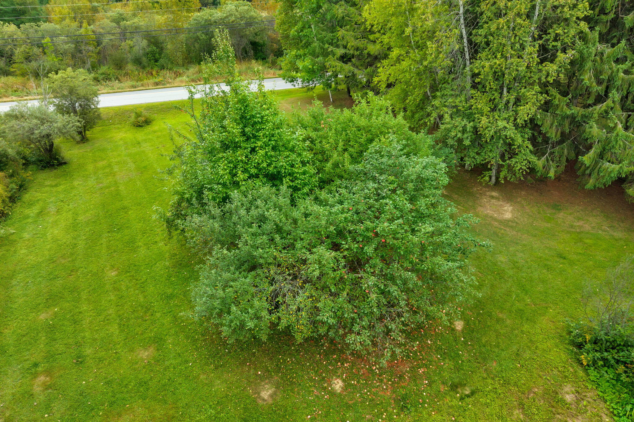 726 Ludlow Road Ludlow, ME 04730 - Photo 58 of 85 70-web-or-mls-726-ludlow-rd