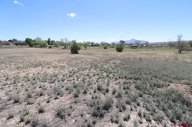 a view of a field with trees in background