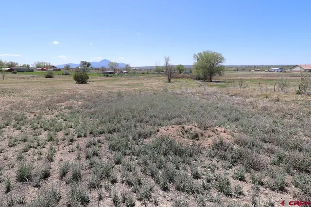 a view of a field with trees in background