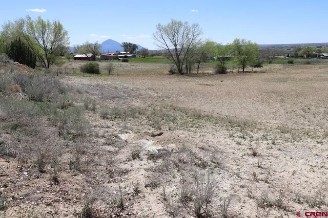a view of a rural road with plants