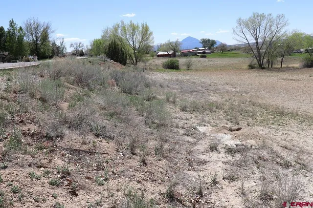 a view of a yard with an outdoor space