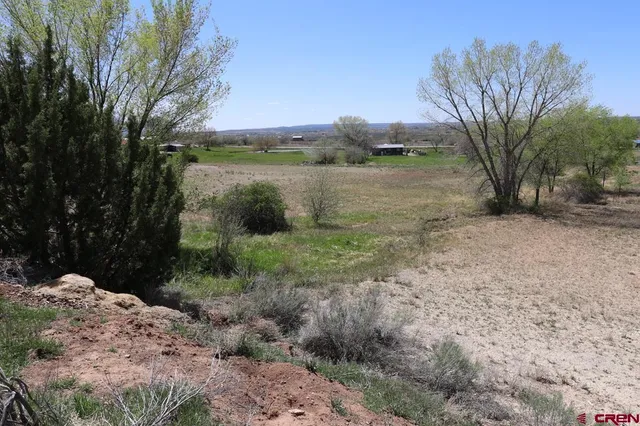 a view of a lake with a yard and large trees