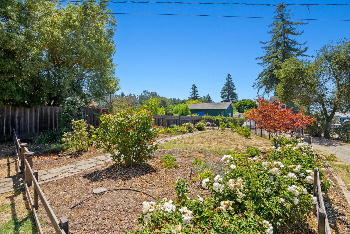 129 Browns Valley Road, Unit A Watsonville, CA 95076 - Photo 37 of 45 a view of a yard with plants and large trees