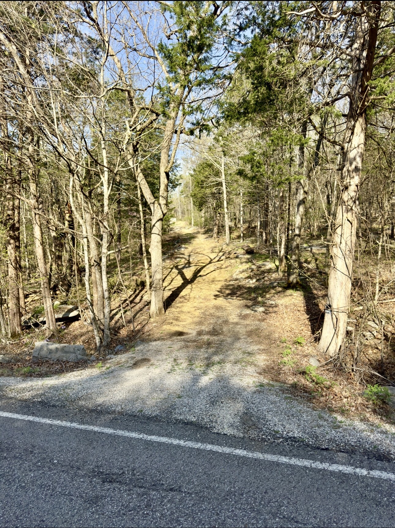 0 Buncombe Road Belvidere, TN 37306 - Photo 2 of 9 a view of yard