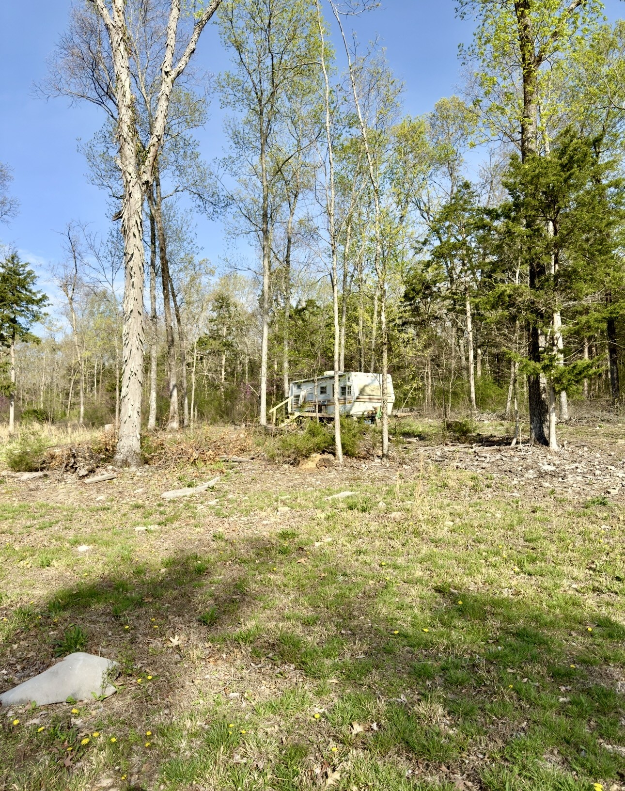 0 Buncombe Road Belvidere, TN 37306 - Photo 3 of 9 a view of yard