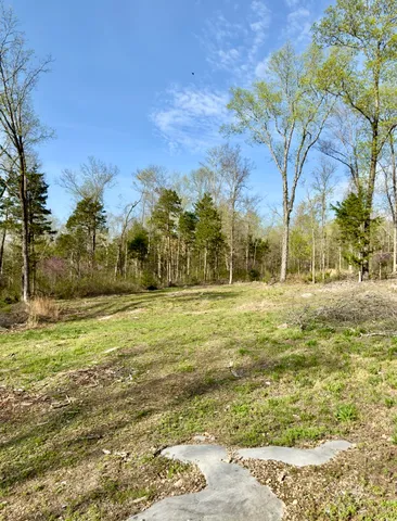 a view of yard with large trees