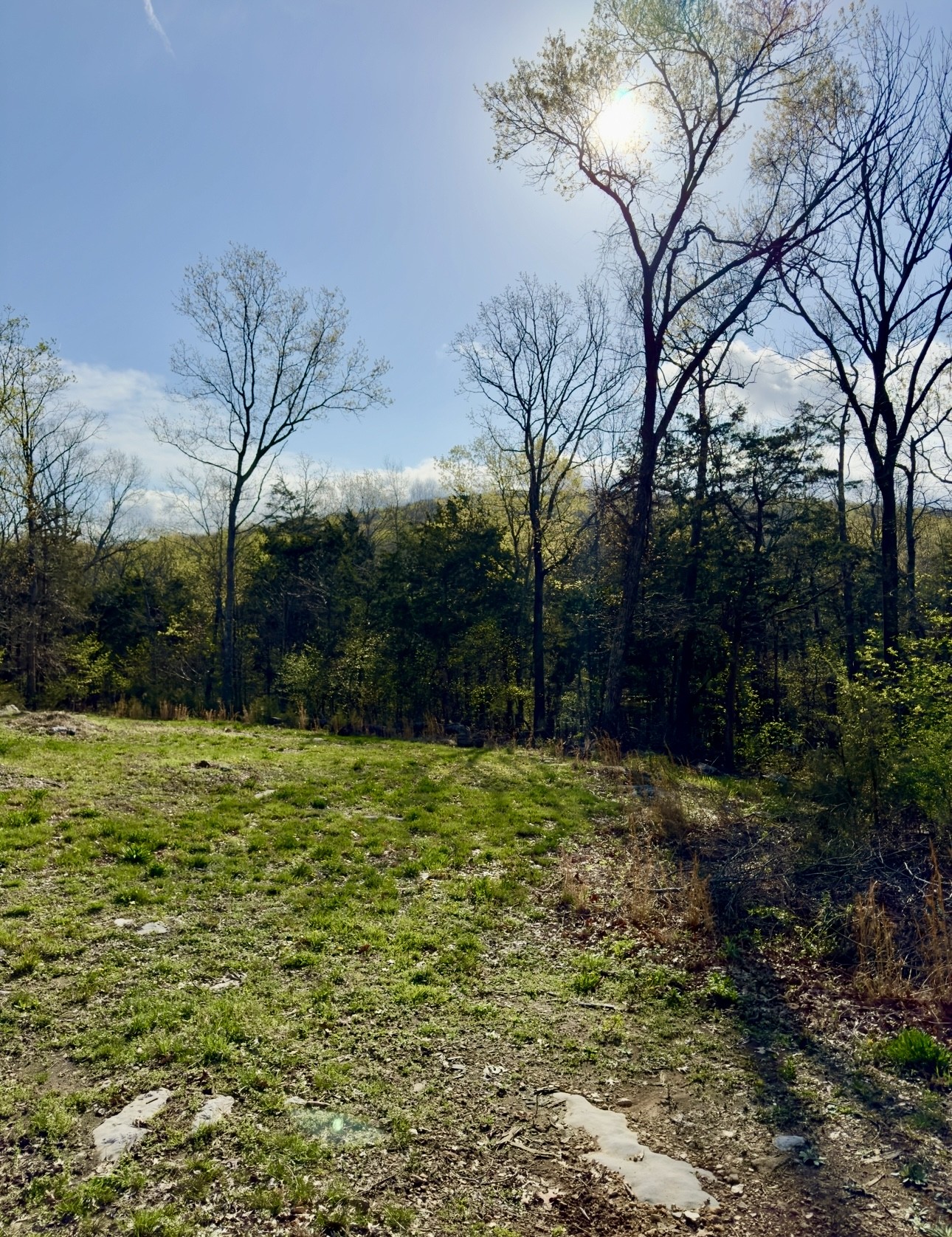 0 Buncombe Road Belvidere, TN 37306 - Photo 6 of 9 a backyard of a house with lots of green space
