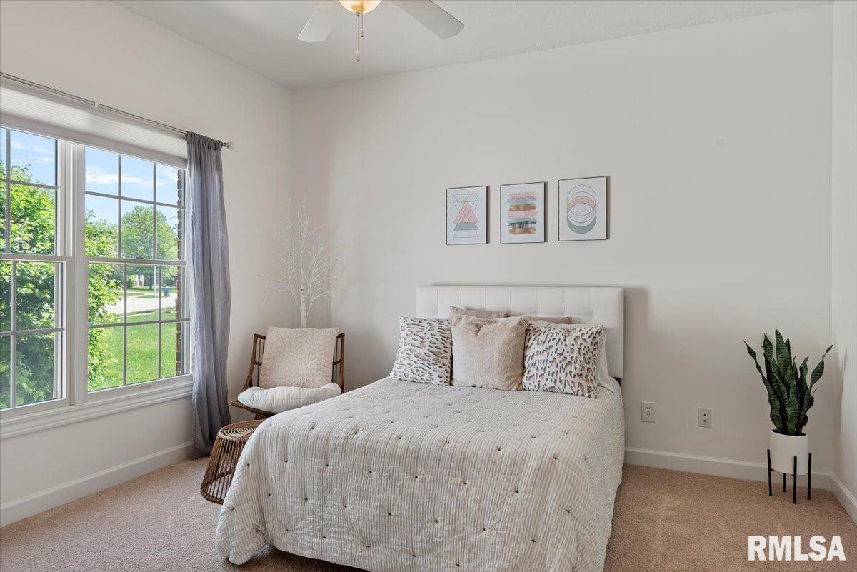 1629 Hoechester Road Springfield, IL 62712 - Photo 29 of 56