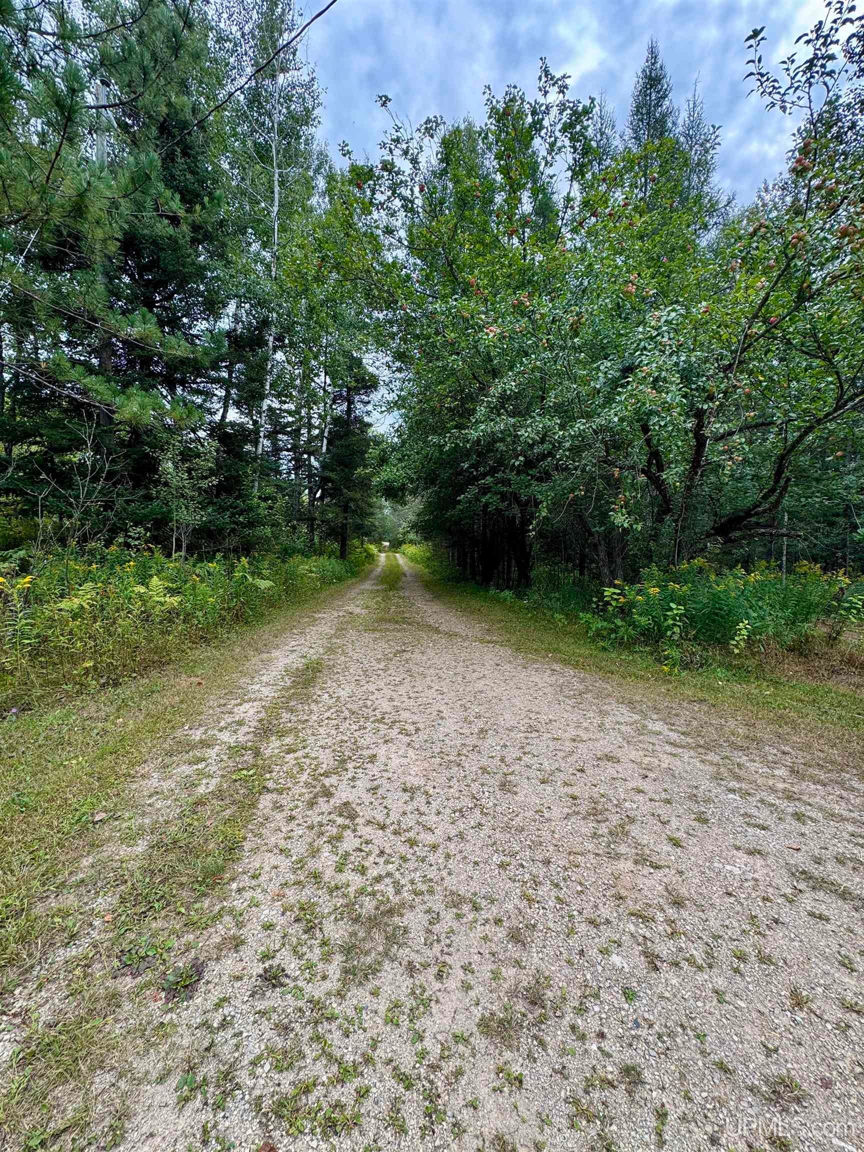 2500 County Road Arnold, MI 49819 - Photo 35 of 50 Gallery Image 35
