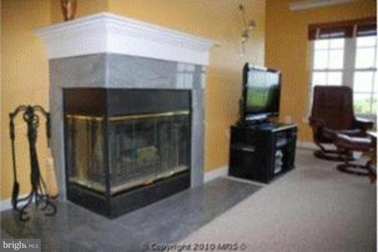 304 Ridgepoint Place, Unit 34 Gaithersburg, MD 20878 - Photo 15 of 17 Fireplace
