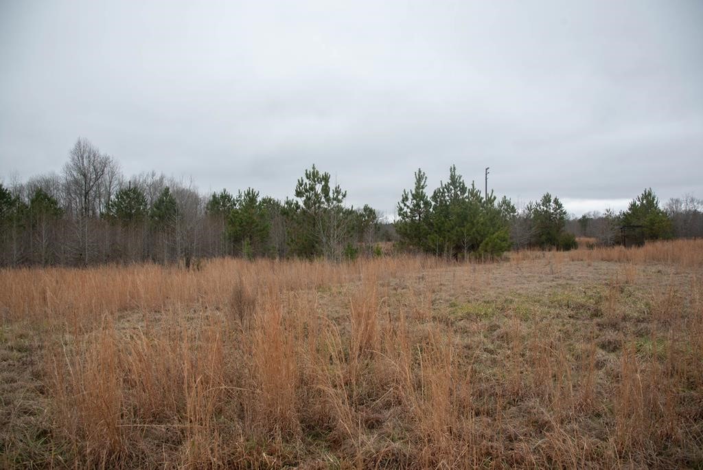745 County Rd S-1-149 Donalds, SC 29638 - Photo 1 of 32