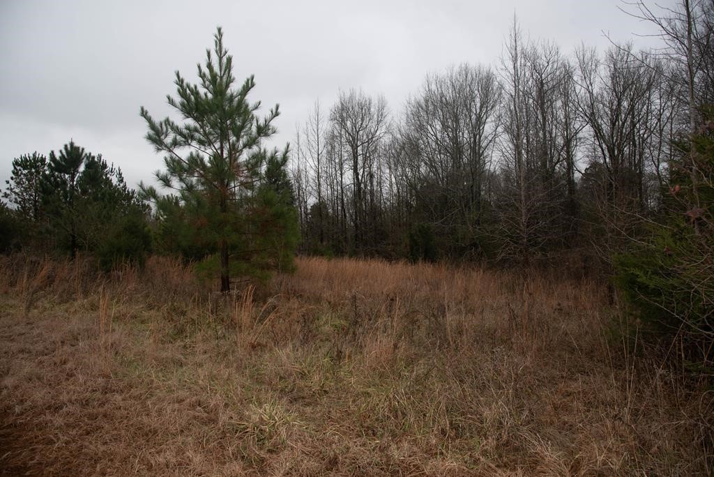 745 County Rd S-1-149 Donalds, SC 29638 - Photo 16 of 32