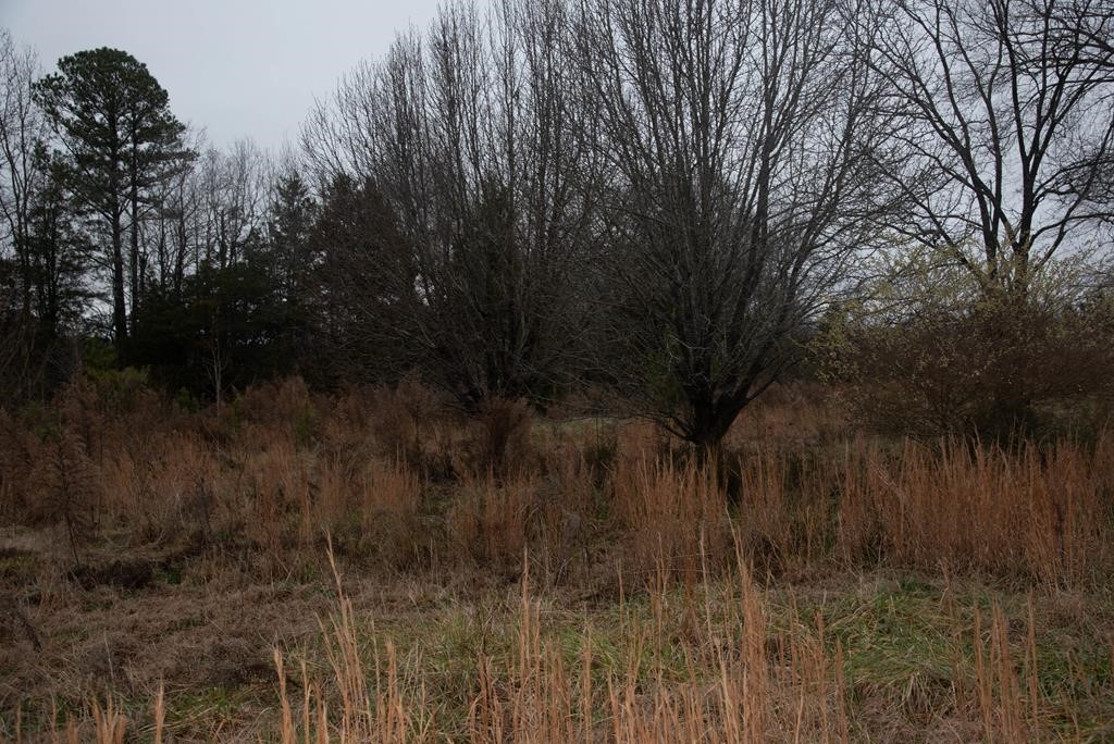 745 County Rd S-1-149 Donalds, SC 29638 - Photo 23 of 32