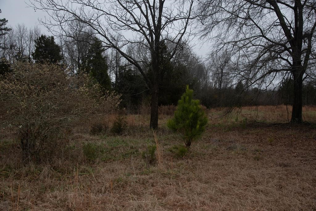 745 County Rd S-1-149 Donalds, SC 29638 - Photo 26 of 32