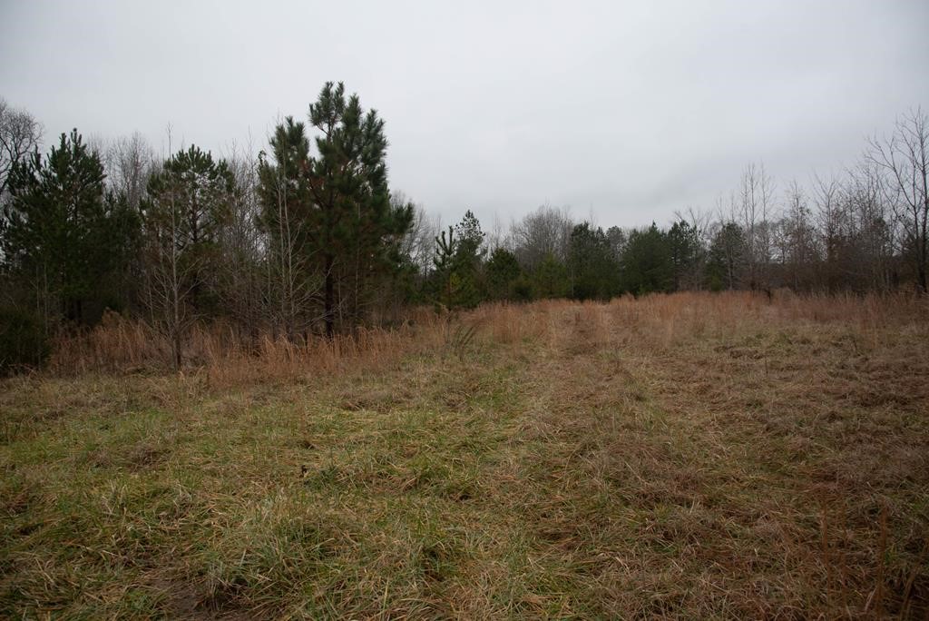 745 County Rd S-1-149 Donalds, SC 29638 - Photo 3 of 32