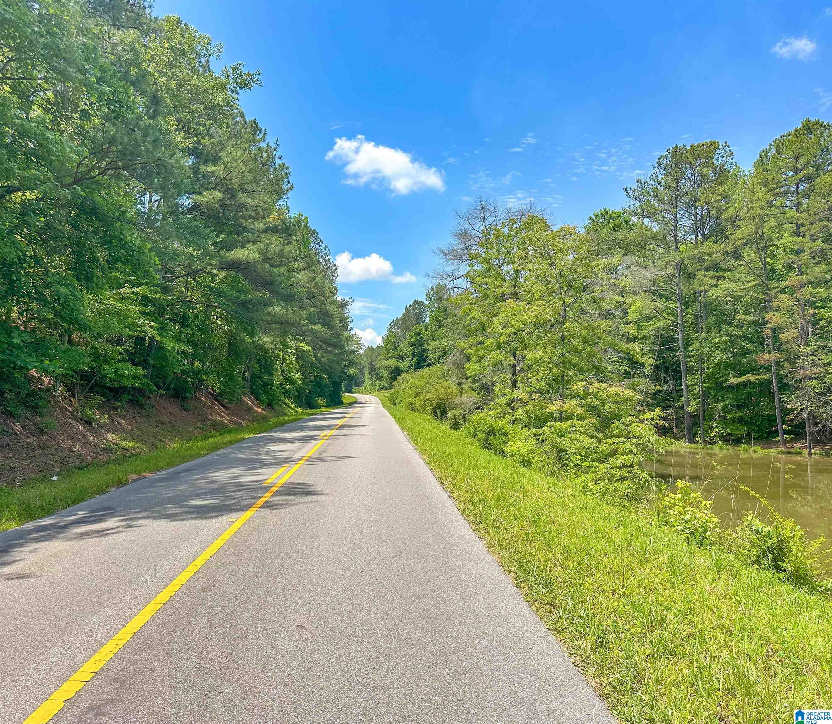 1 Old Mill Road Goodwater, AL 35072 - Photo 6 of 22