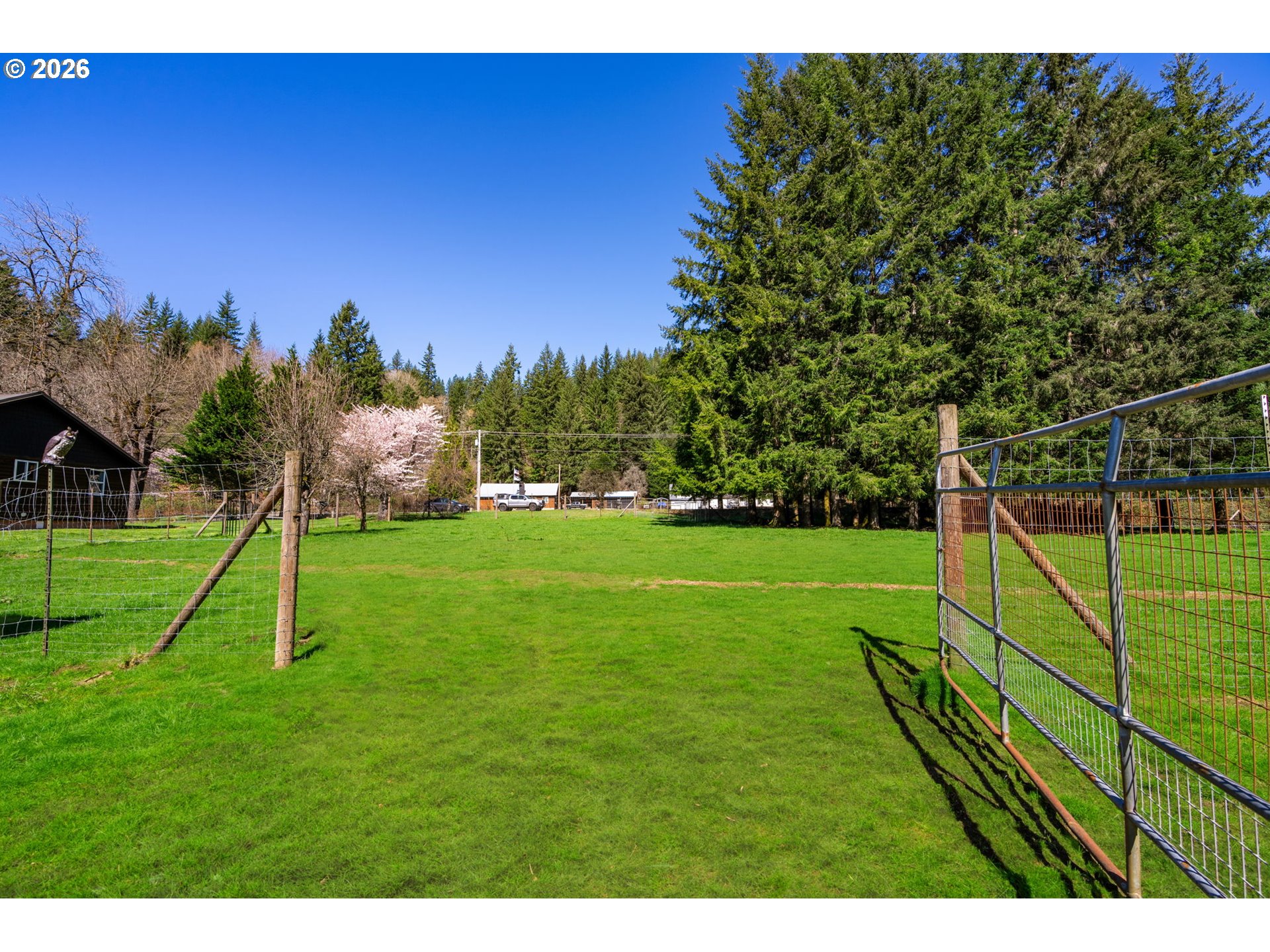 15052 Lewis River Road Ariel, WA 98603 - Photo 39 of 40 a view of a park with large trees
