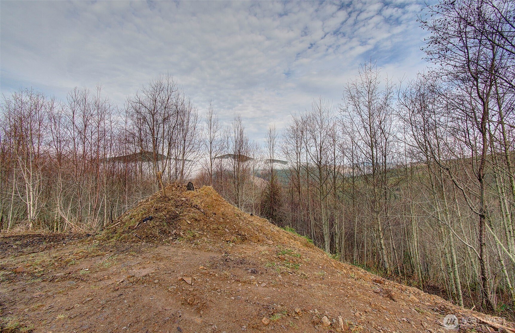 0 Remington Road Kelso, WA 98626 - Photo 11 of 18