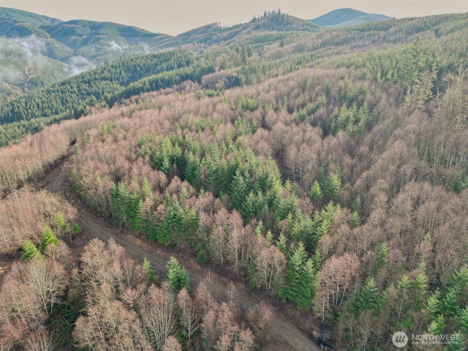 0 Remington Road Kelso, WA 98626 - Photo 12 of 18