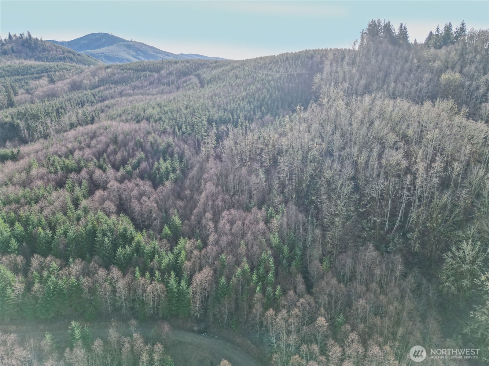 0 Remington Road Kelso, WA 98626 - Photo 13 of 18