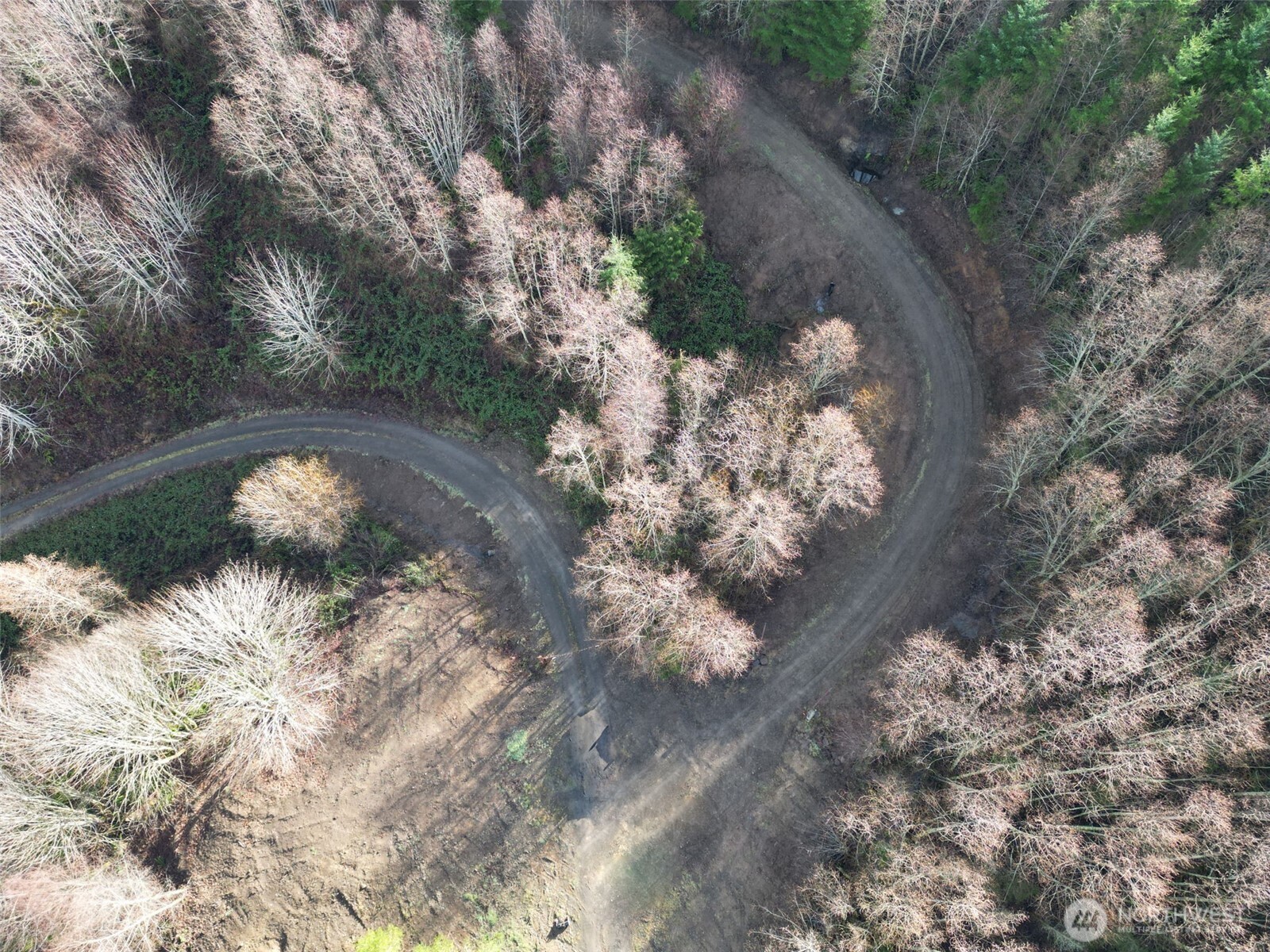 0 Remington Road Kelso, WA 98626 - Photo 17 of 18