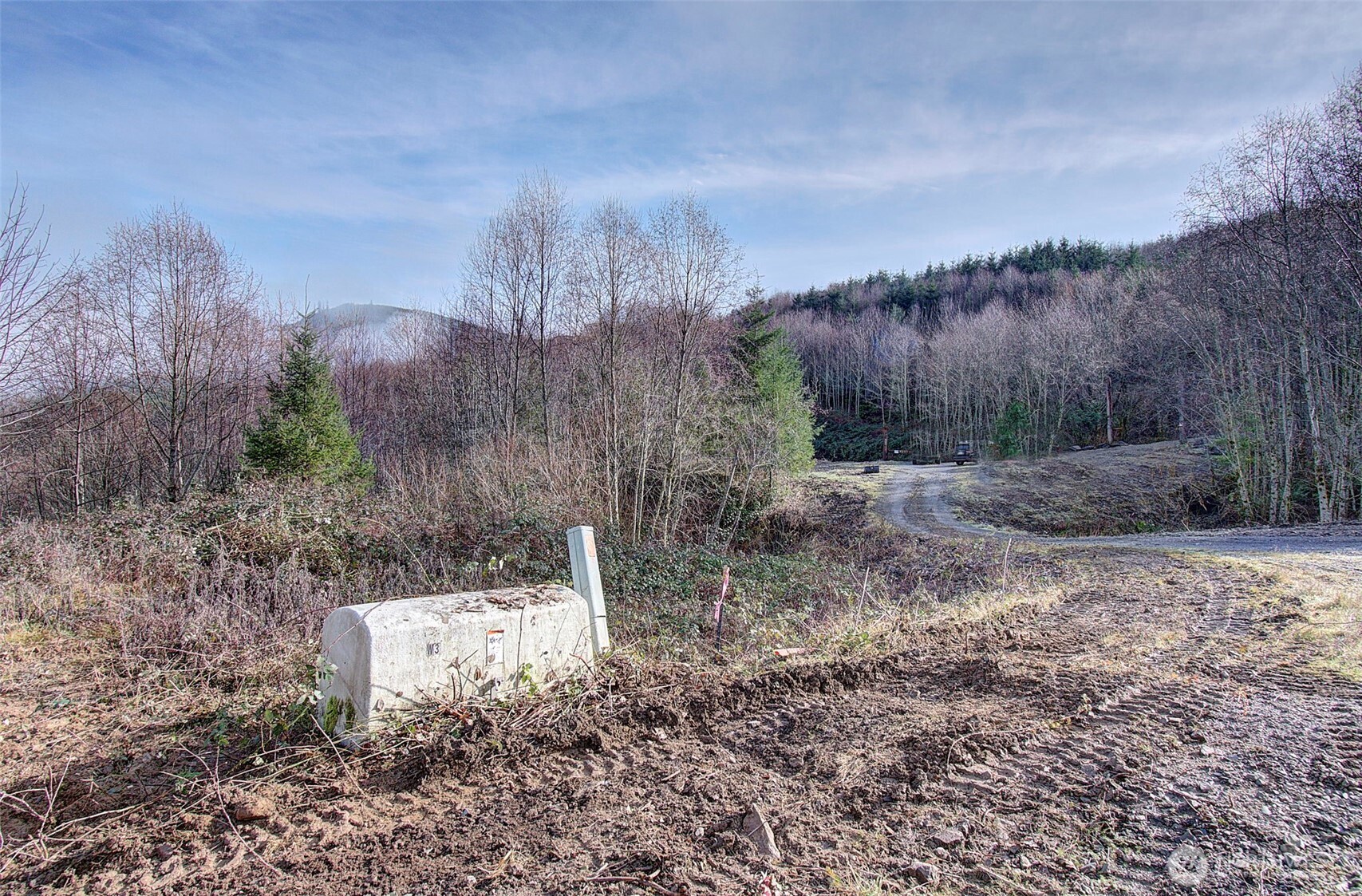 0 Remington Road Kelso, WA 98626 - Photo 3 of 18