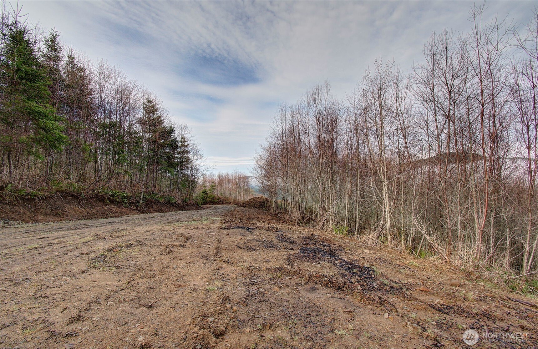 0 Remington Road Kelso, WA 98626 - Photo 5 of 18